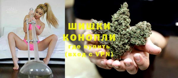 шишки Алексеевка