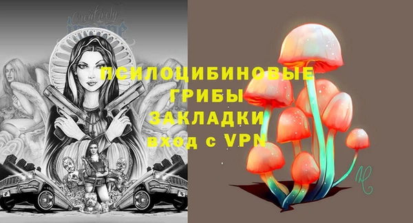 2c-b Алексин