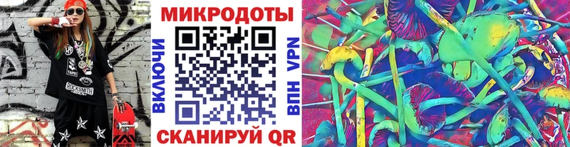 Псилоцибиновые грибы мицелий  Нолинск 