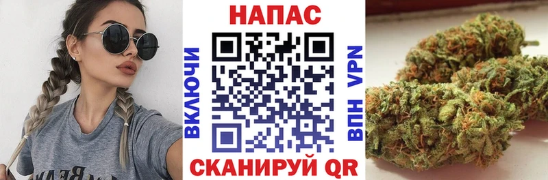 МАРИХУАНА SATIVA & INDICA Нолинск